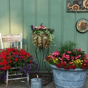 Decorative Containers (3).jpg